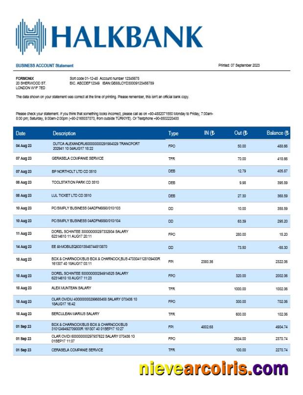 Halkbank business statement